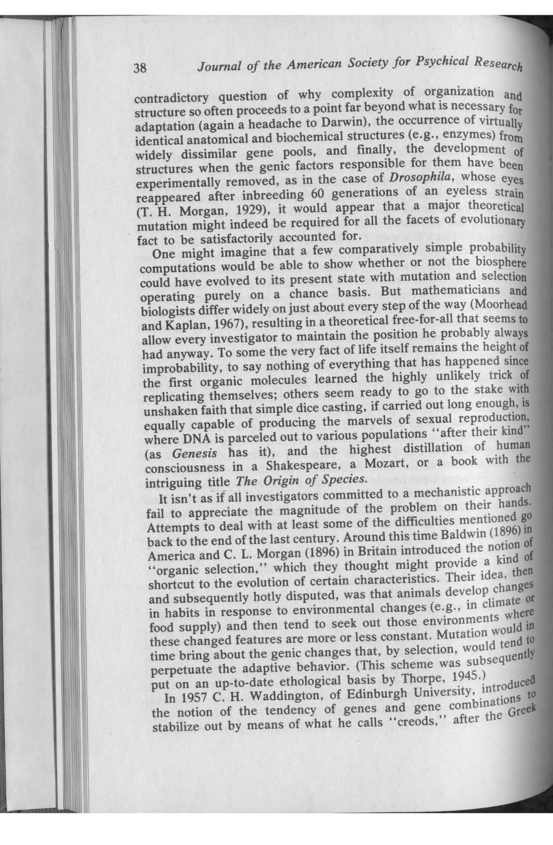 Evolution and Psi, page 4 of 19