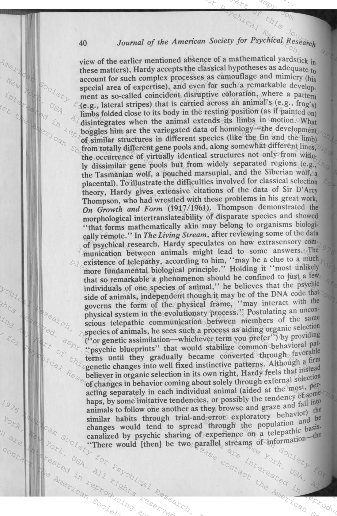 Evolution and Psi, page 6 of 19